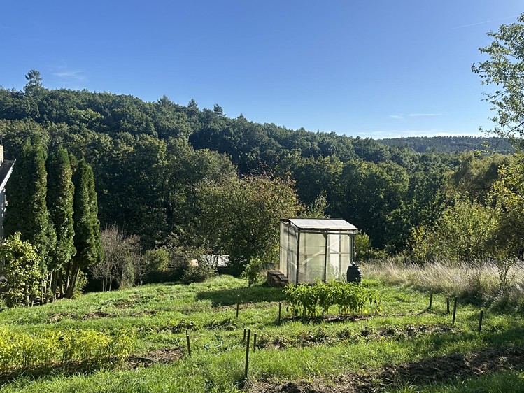 Grundstück zum Kauf, 554 m² (7 von 20)