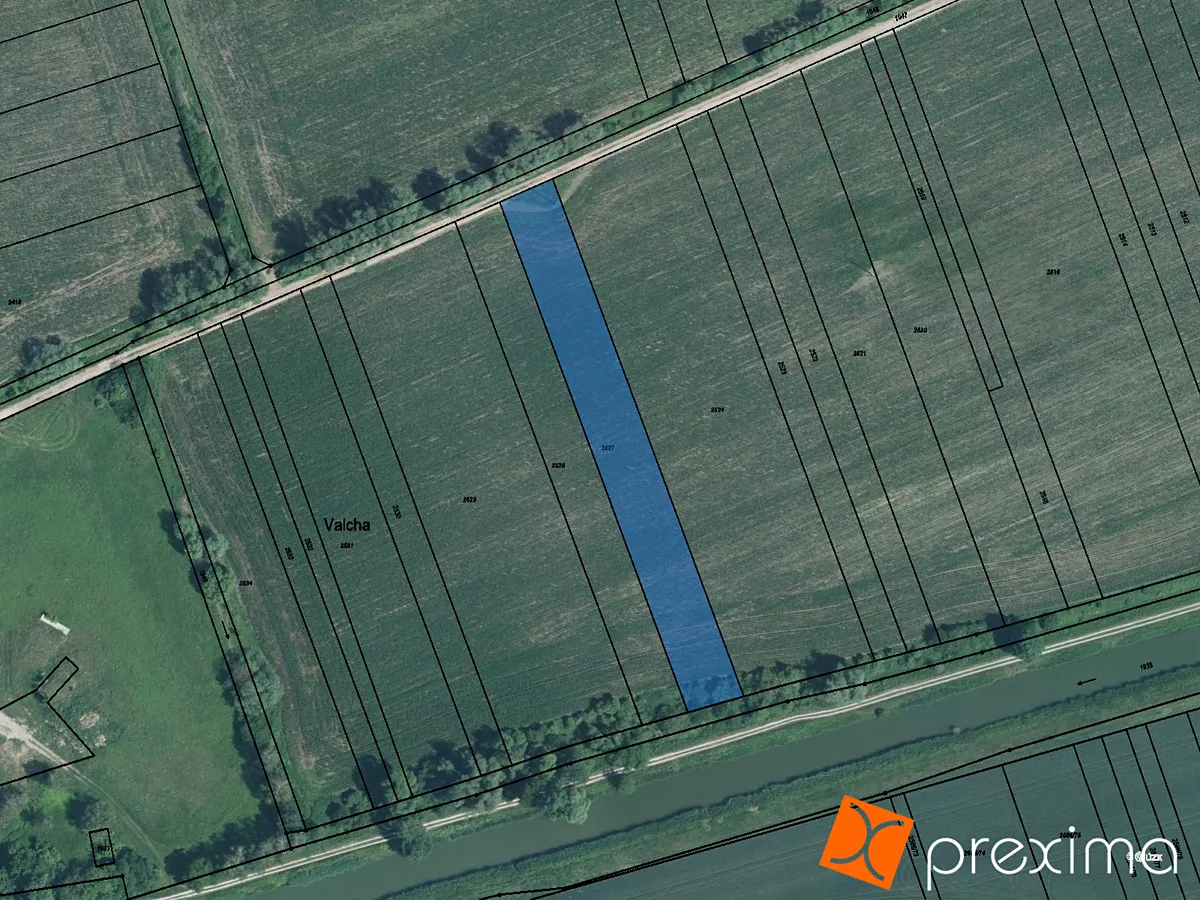 Prodej podílu 1/4 pole 834 m²