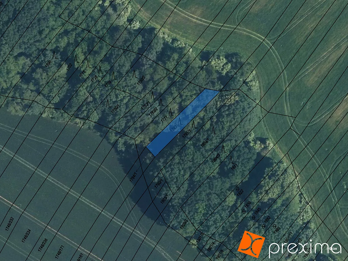 Prodej podílu 1/5 lesa 389 m²