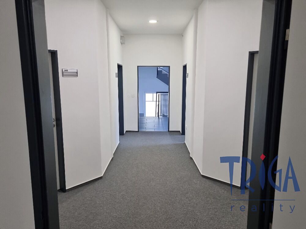 Pronájem kanceláře 23 m² – fotografie 5