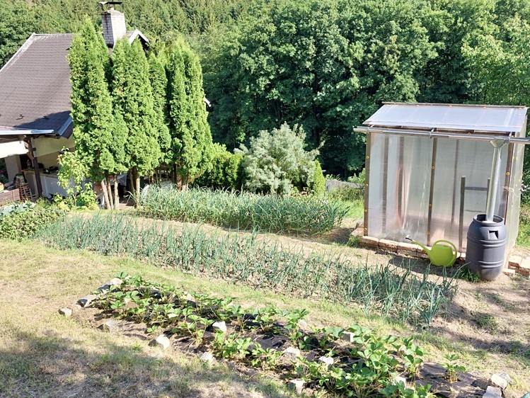 Grundstück zum Kauf, 554 m² (11 von 20)