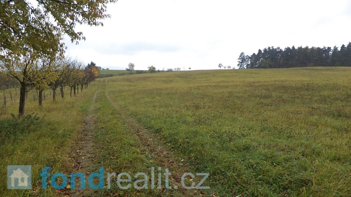 Prodej pole 6246 m² – fotografie 2