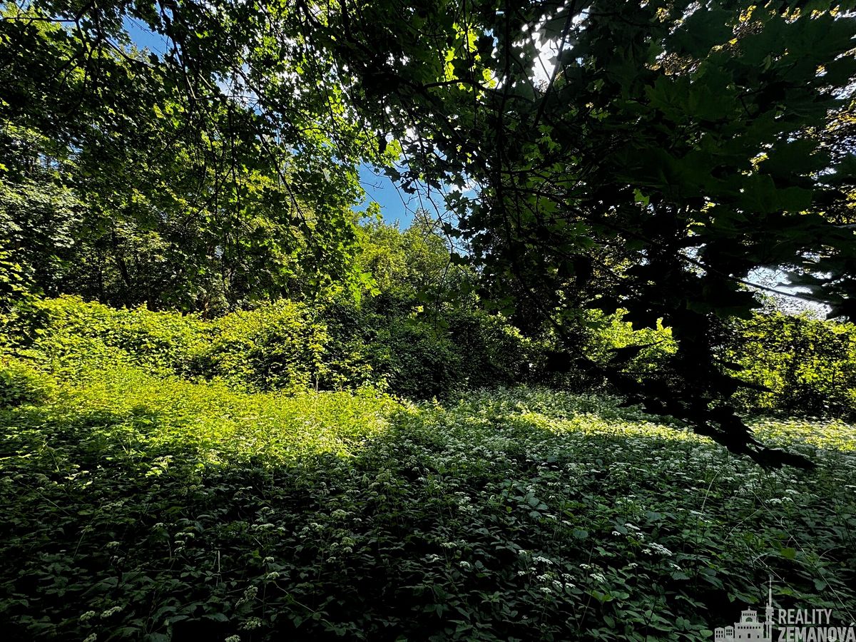 Prodej stavebního pozemku 7834 m², Roztoky – fotka 1 z 3