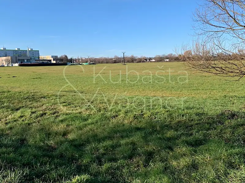 Prodej stavebního pozemku 5663 m², Heřmanův Městec – náhled fotky 3