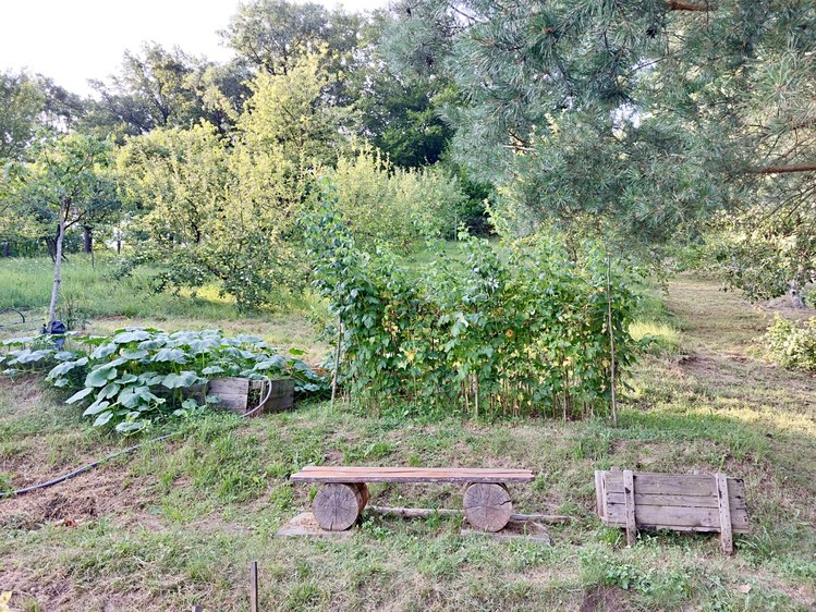 Grundstück zum Kauf, 554 m² (14 von 20)