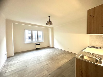 Pronájem bytu 1+kk 28 m² (Jednopodlažní)