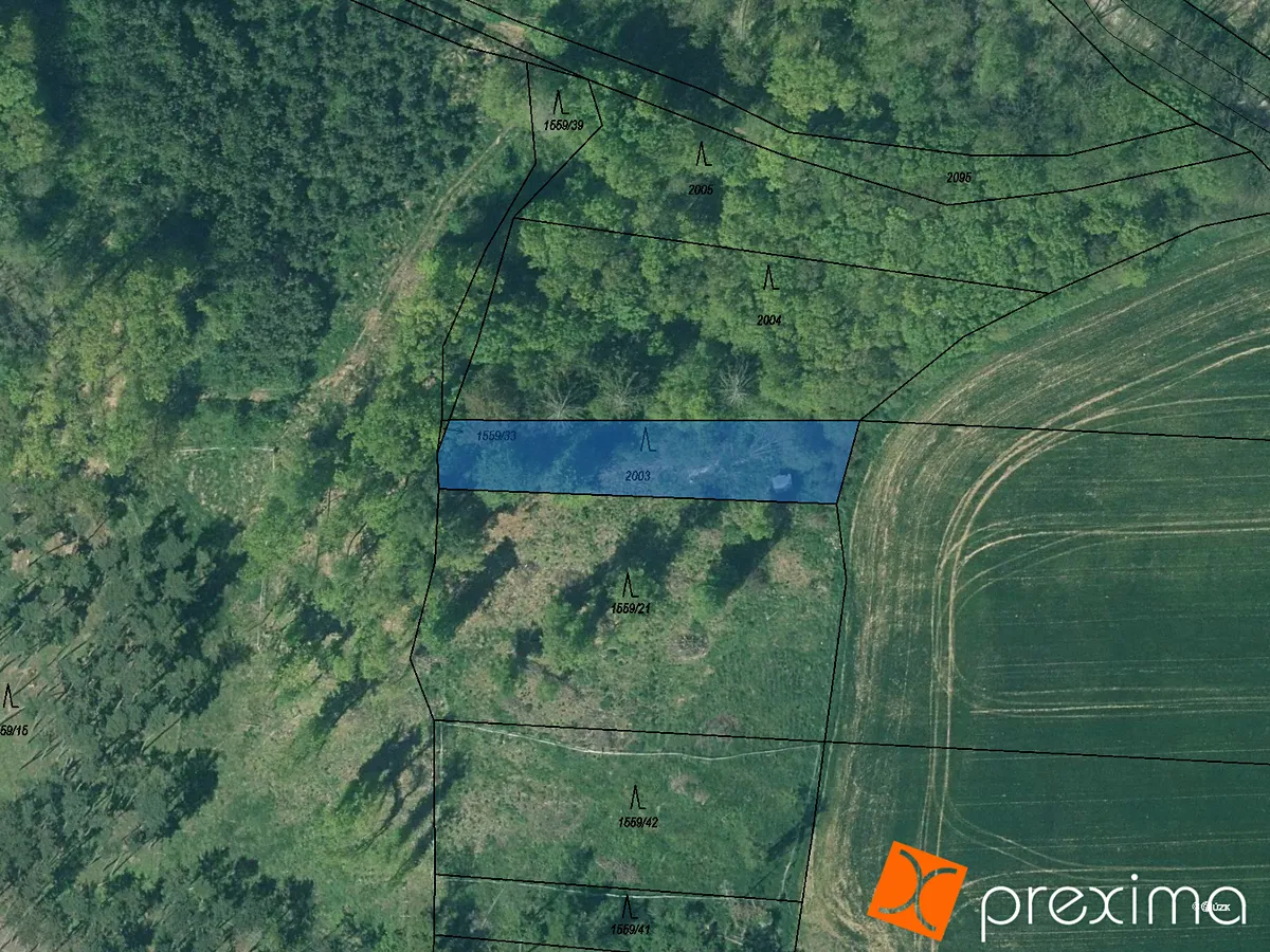 Prodej podílu 9/28 lesa 296 m²