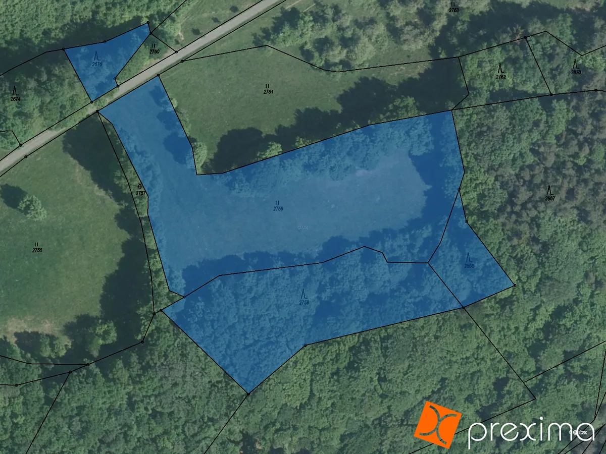 Prodej podílu 1/2 lesa 6868 m²