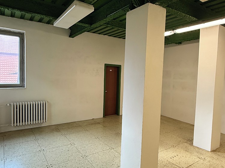 Pronájem komerčního prostoru, 127 m² (4 z 8)