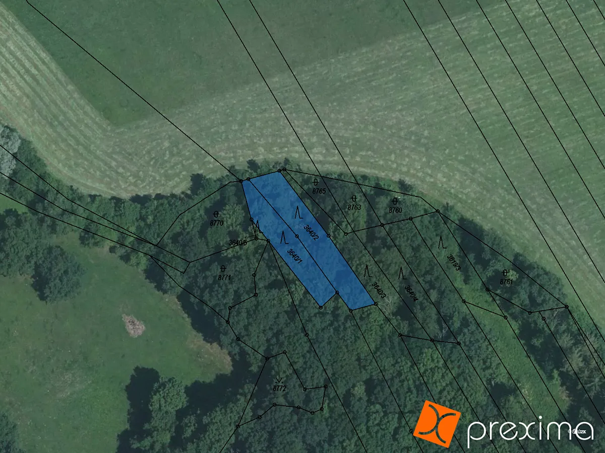 Prodej podílu 8/9 lesa 707 m²