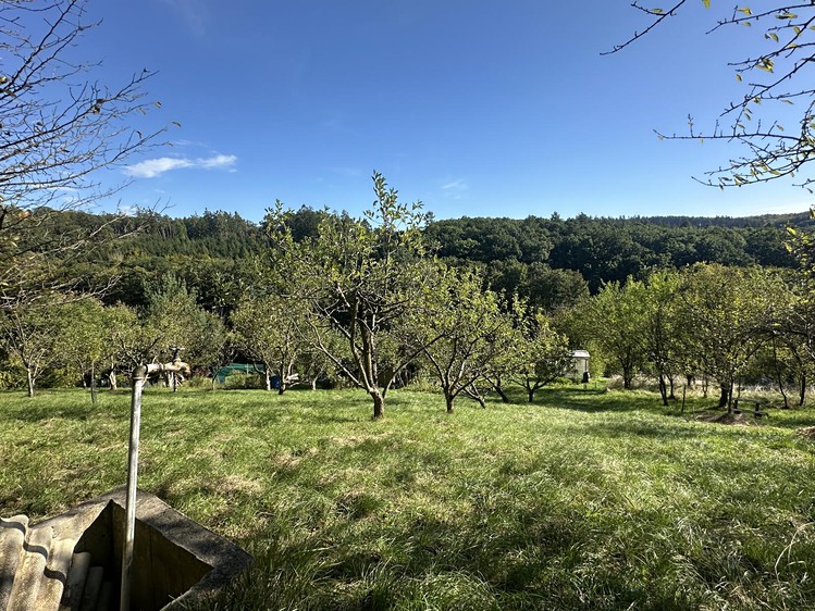 Grundstück zum Kauf, 554 m² (9 von 20)