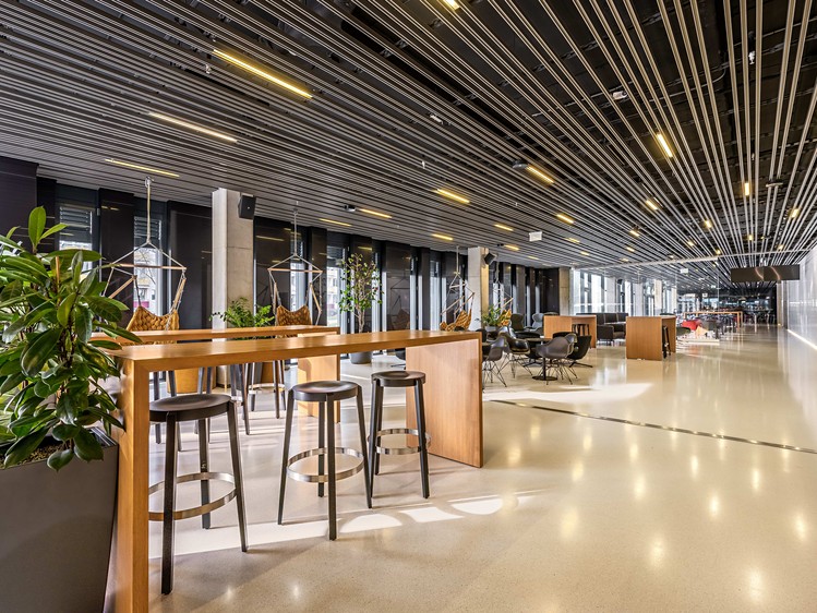 Gewerbefläche zur Miete, 844 m² (3 von 22)