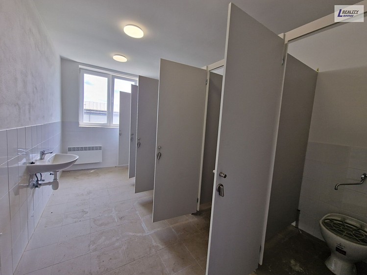 Pronájem komerčního prostoru, 144 m² (9 z 12)
