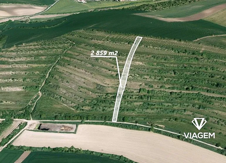 Prodej pole 2859 m²