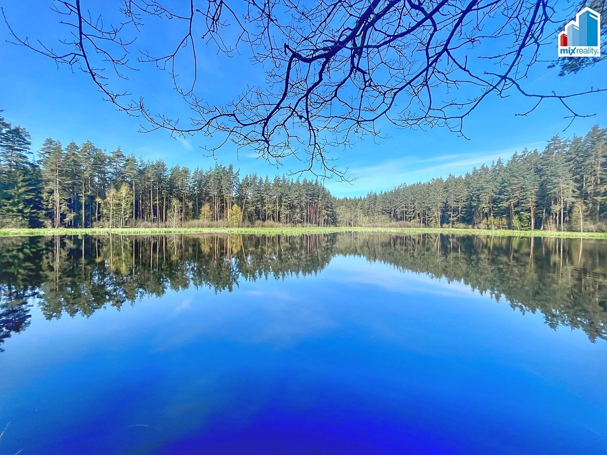 Prodej rybníku (vodní plochy) 16545 m² – fotografie 2