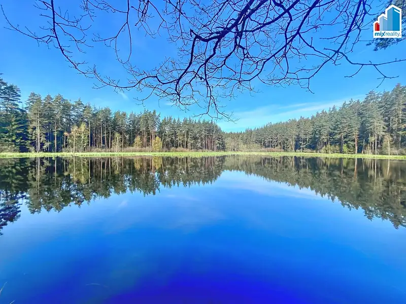 Prodej rybníku (vodní plochy) 16545 m², Trstěnice – náhled fotky 2