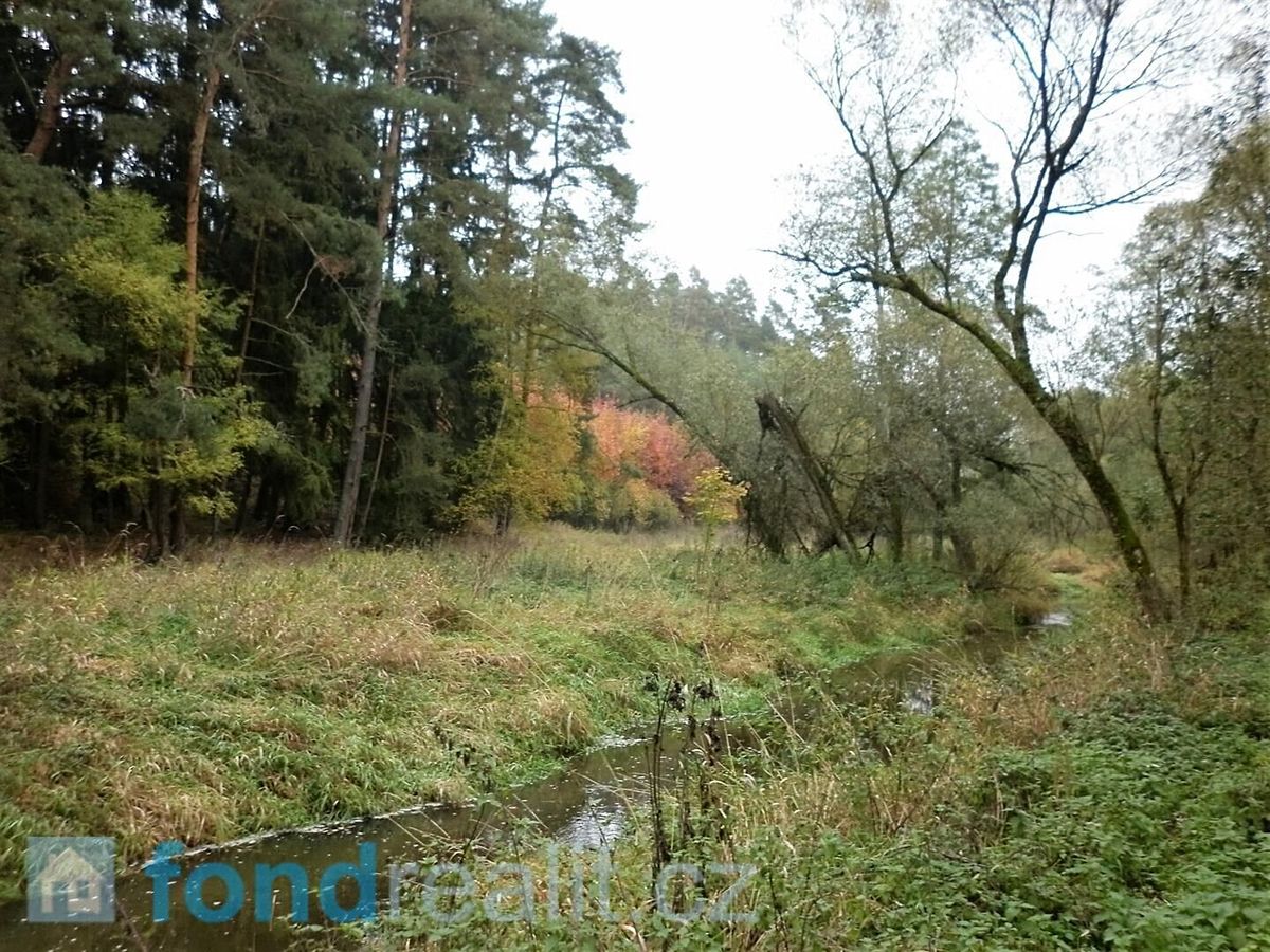 Prodej pole 42411 m² – fotografie 2