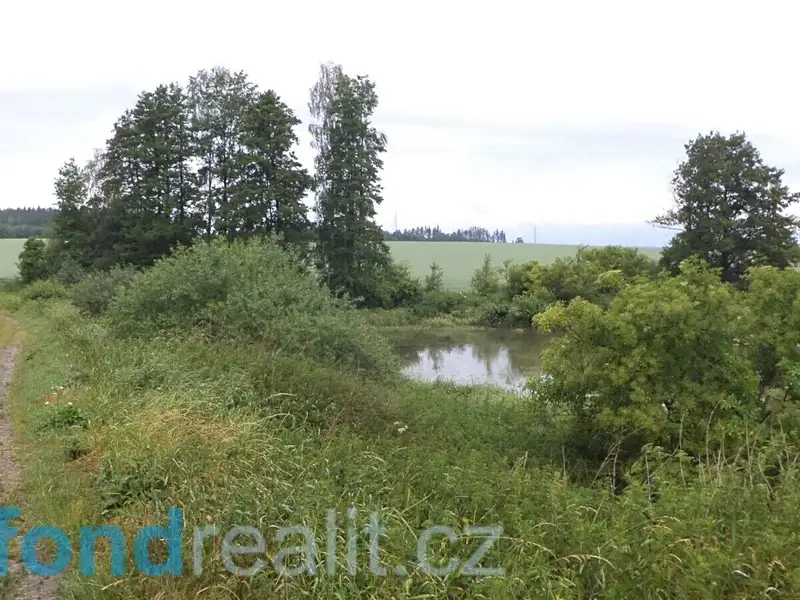 Prodej pozemku 4992 m², Třebařov – náhled fotky 1