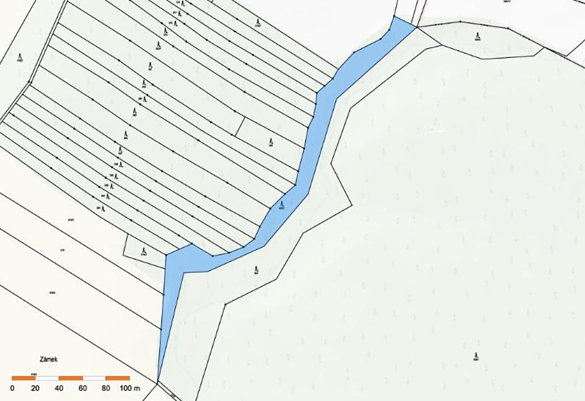 Prodej lesa 5435 m² – fotografie 2