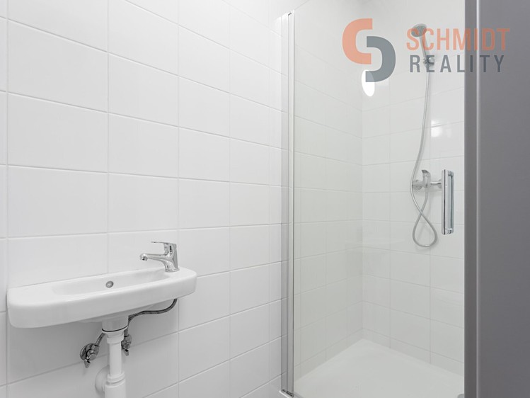 Pronájem komerčního prostoru, 234 m² (11 z 16)