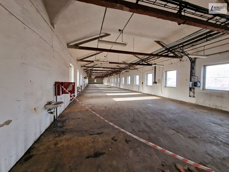 Pronájem komerčního prostoru, 900 m² (2 z 3)