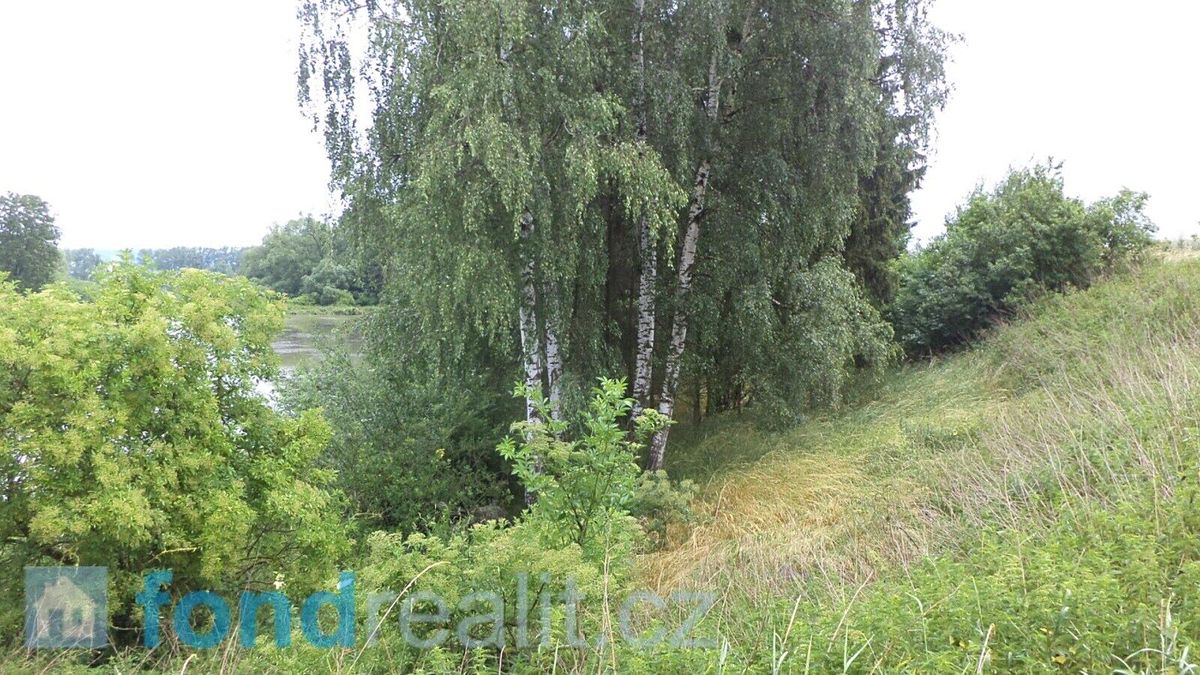 Prodej pozemku 4992 m² – fotografie 2