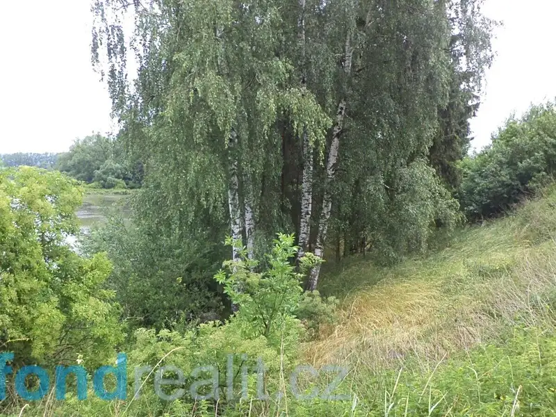 Prodej pozemku 4992 m², Třebařov – náhled fotky 2