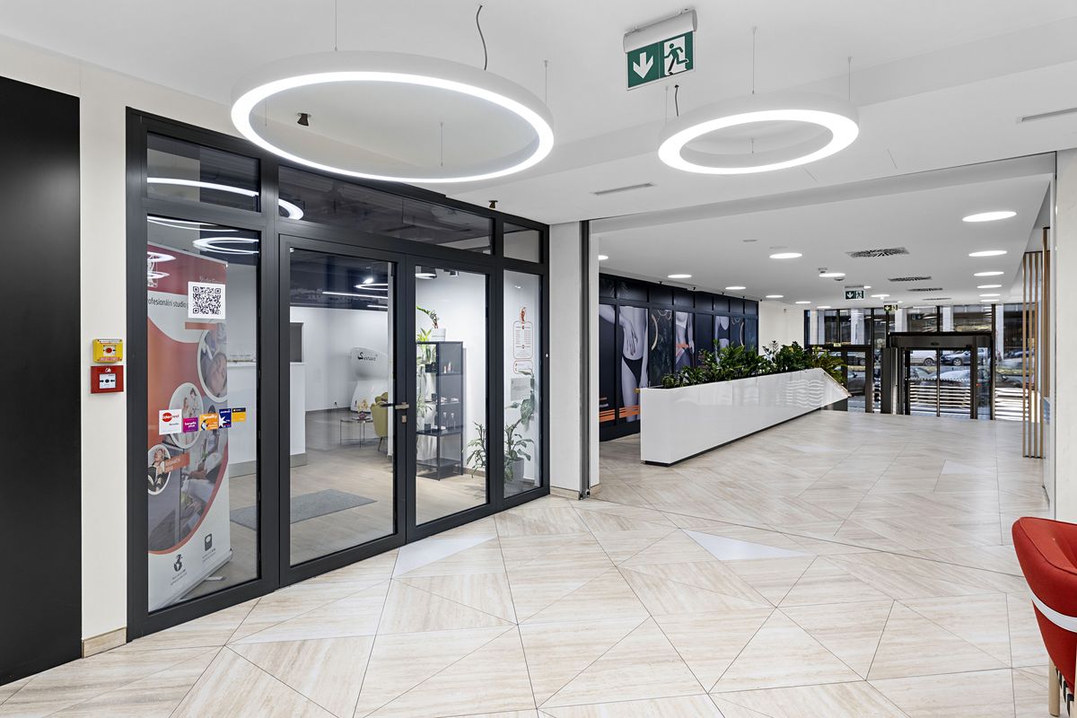 Pronájem obchodního prostoru 179 m² – fotografie 4