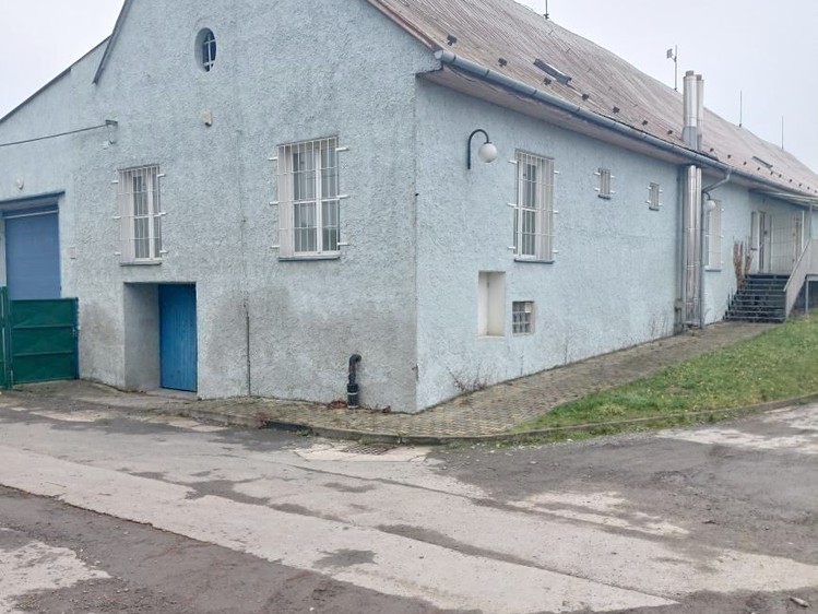 Комерційне приміщення в оренду, 500 м² (1 з 10)