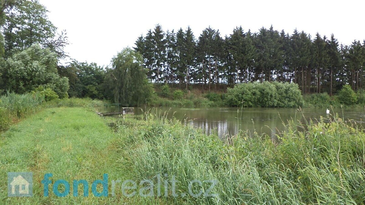 Prodej pozemku 4992 m² – fotografie 3