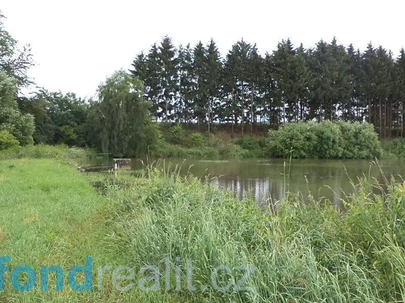 Prodej pozemku 4992 m², Třebařov – náhled fotky 3
