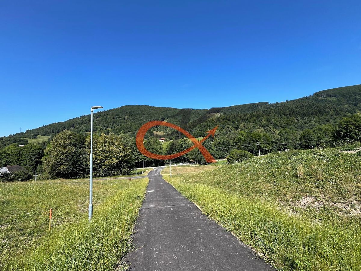 Prodej stavebního pozemku 2923 m² – fotografie 3