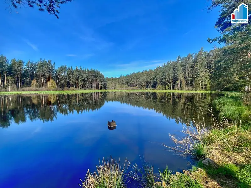 Prodej rybníku (vodní plochy) 16545 m², Trstěnice – náhled fotky 1