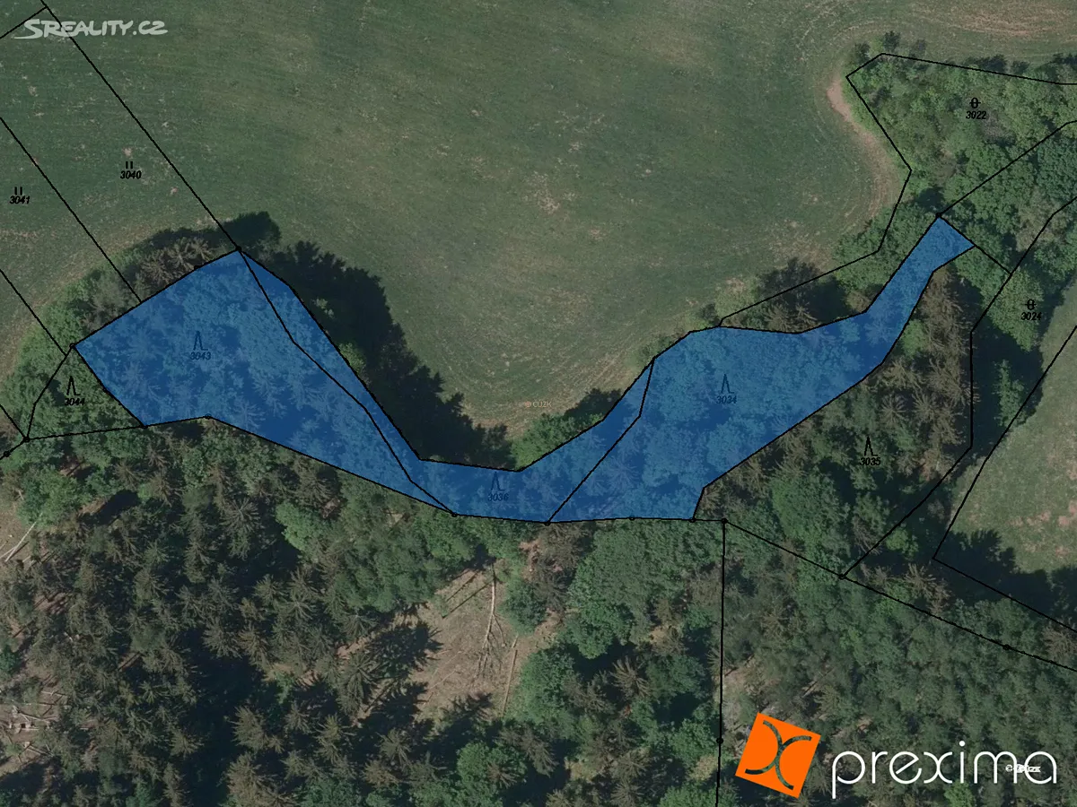 Prodej podílu 1/4 lesa 4299 m²
