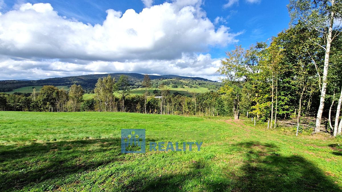 Prodej rodinného domu 320 m², pozemek 2462 m² – fotografie 3