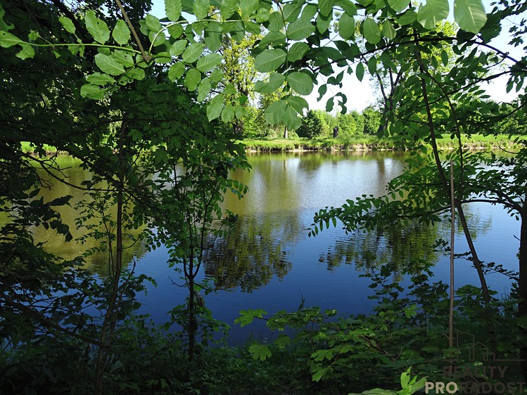 Pronájem pozemku, 1 000 m² (2 z 12)
