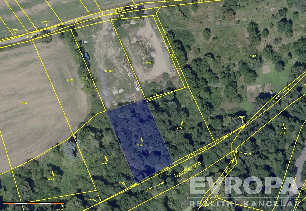 Prodej lesa 2166 m²