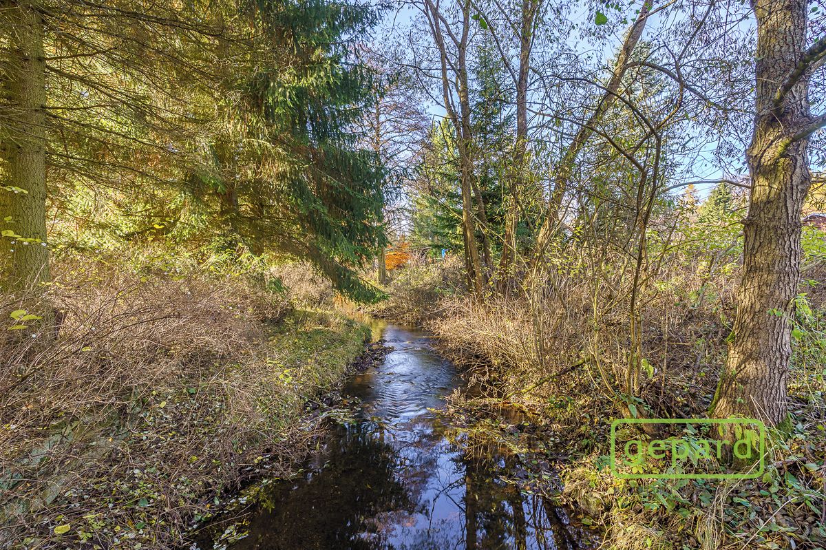 Prodej rybníku (vodní plochy) 5195 m² – fotografie 4
