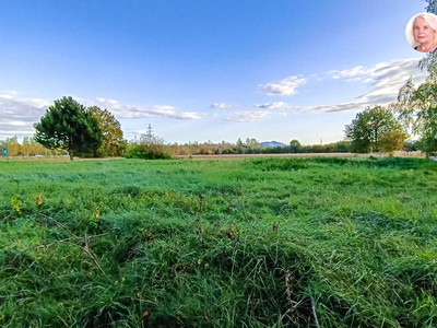 Prodej pozemku, 1 000 m² (3 z 5)