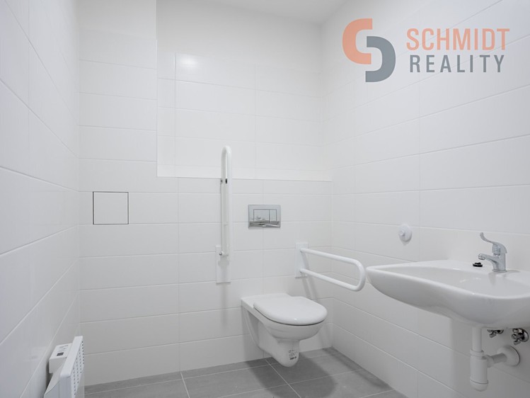 Pronájem komerčního prostoru, 234 m² (9 z 16)