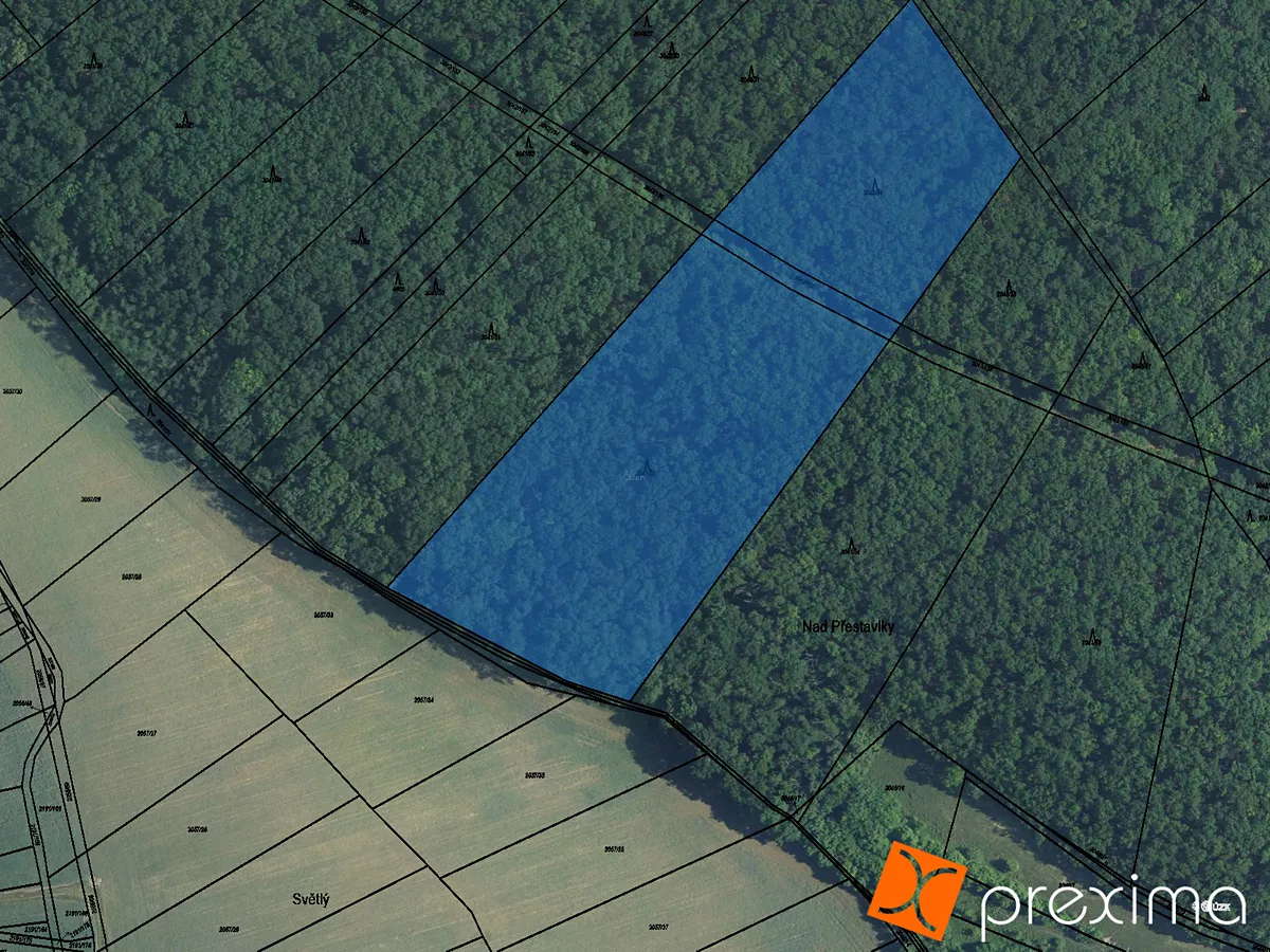 Prodej podílu 1/2 lesa 4024 m²