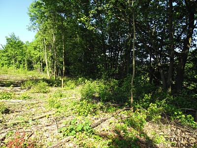 Pronájem pozemku, 1 000 m² (3 z 12)