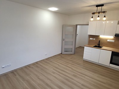 Pronájem bytu 1+kk 25 m² (Jednopodlažní)