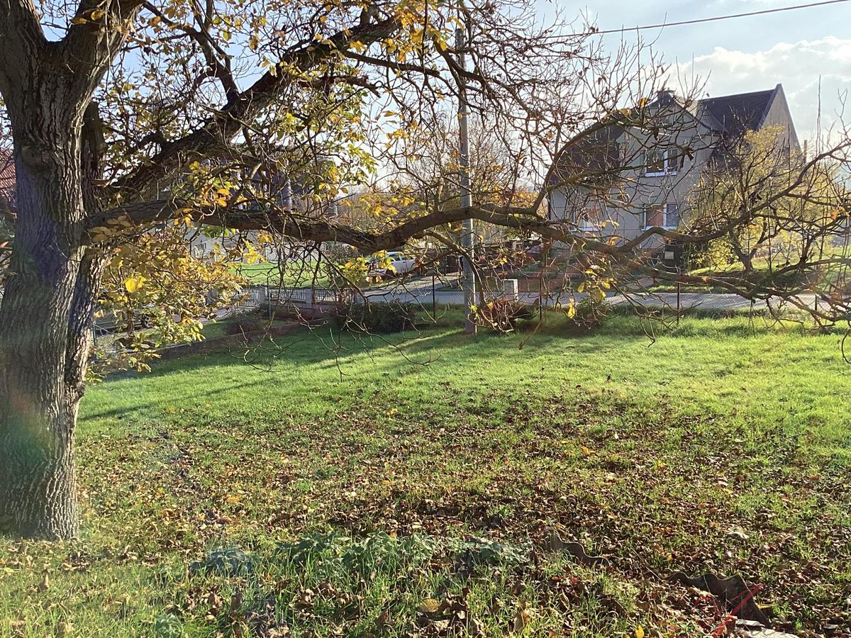 Prodej rodinného domu 80 m², pozemek 2564 m² – fotografie 3