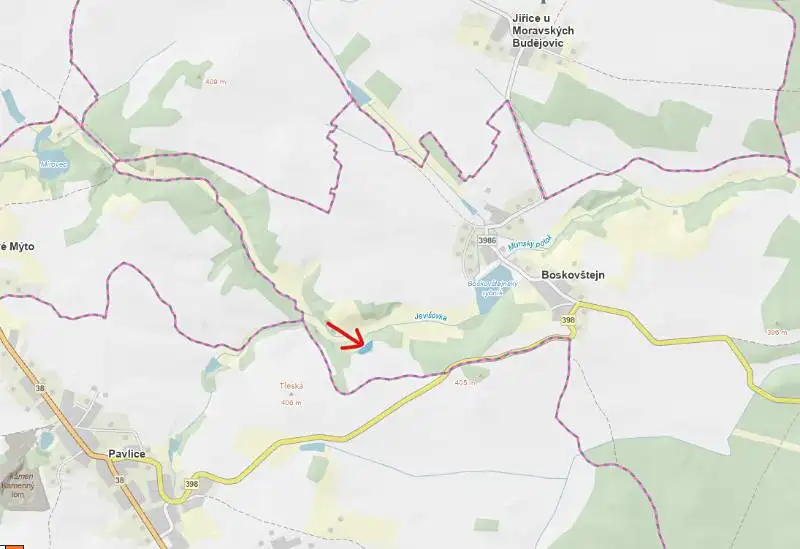 Prodej lesa 2506 m², Boskovštejn – náhled fotky 1