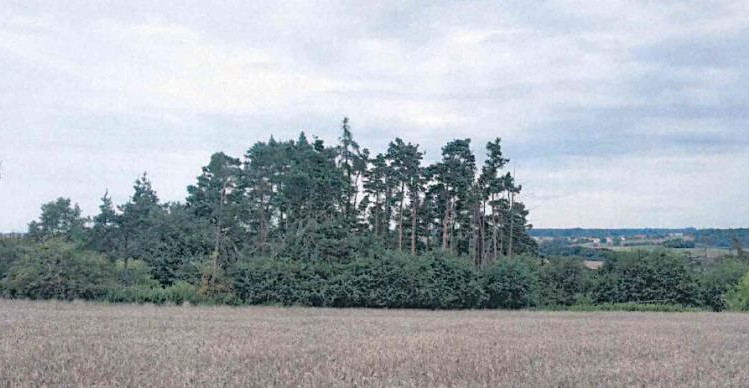 Ostatní