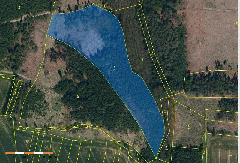 Prodej lesa 24882 m², Chýstovice – náhled fotky 2