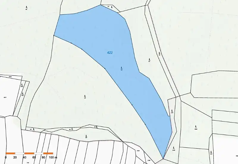 Prodej lesa 24882 m², Chýstovice – náhled fotky 3