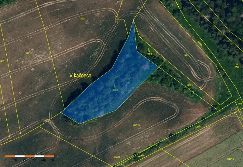Prodej lesa 3317 m², Pavlice – náhled fotky 2