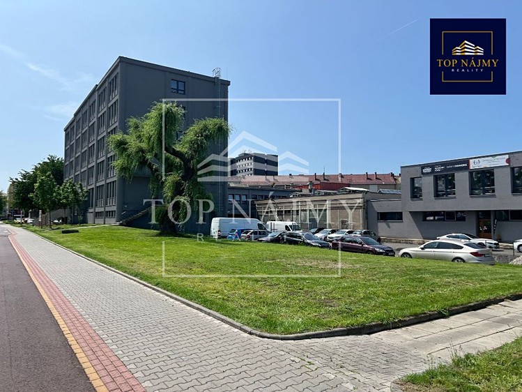 Комерційне приміщення в оренду, 146 м² (9 з 13)